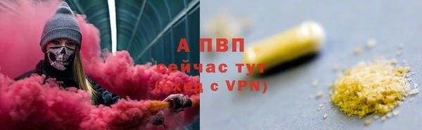 шишки Дмитриев
