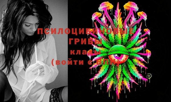 гашик Абаза