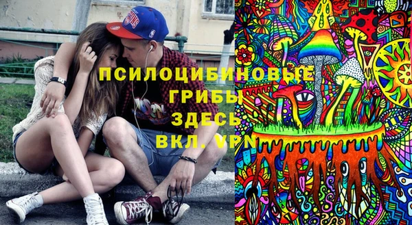 гашик Абаза
