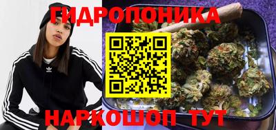 герыч Сосновый Бор