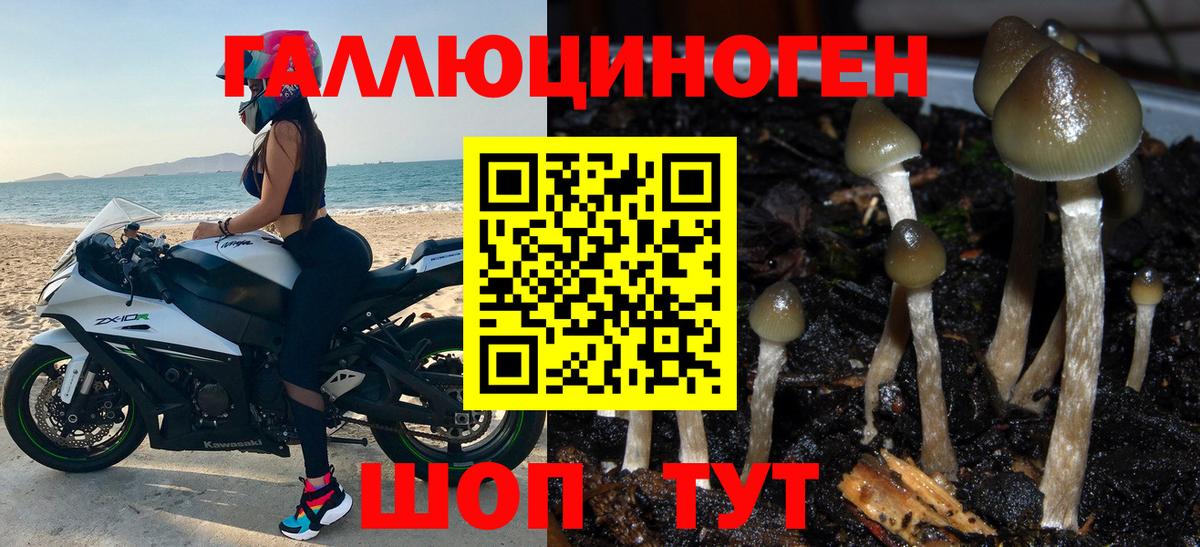Псилоцибиновые грибы Magic Shrooms Грозный