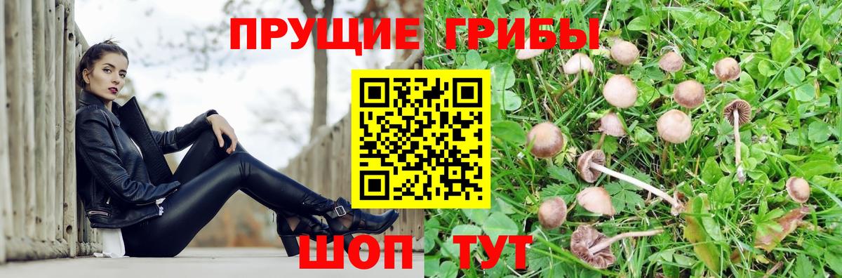 купить наркоту  Вход с VPN  Грозный  Псилоцибиновые грибы прущие грибы 
